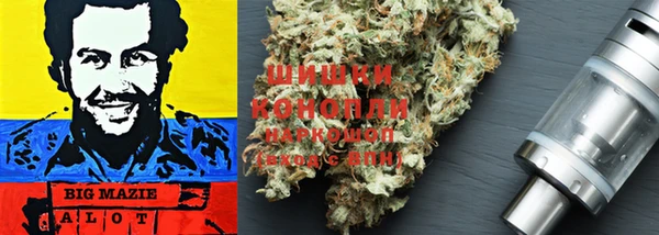мдпв Протвино