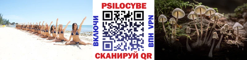 Псилоцибиновые грибы Cubensis  Афипский 